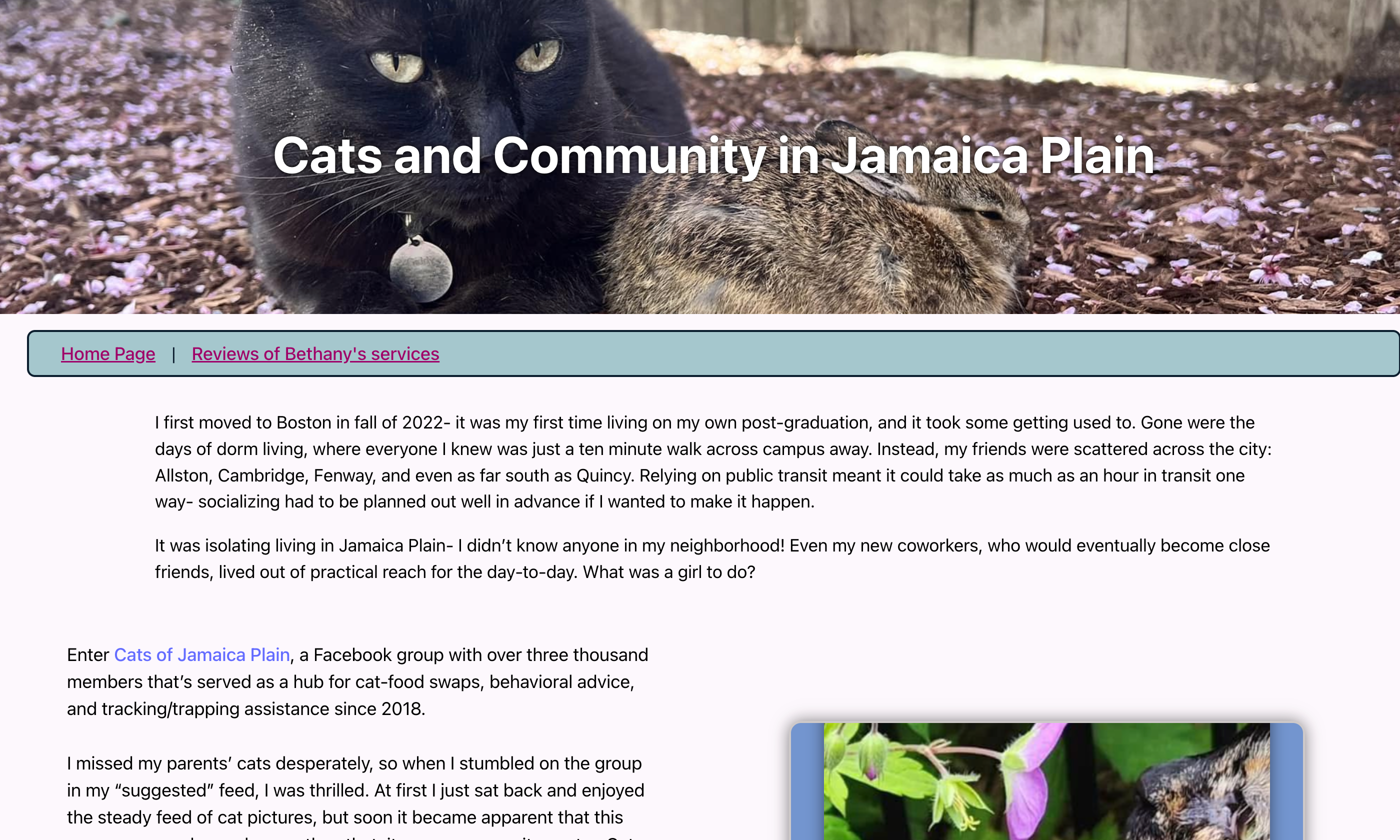 screenshot of project