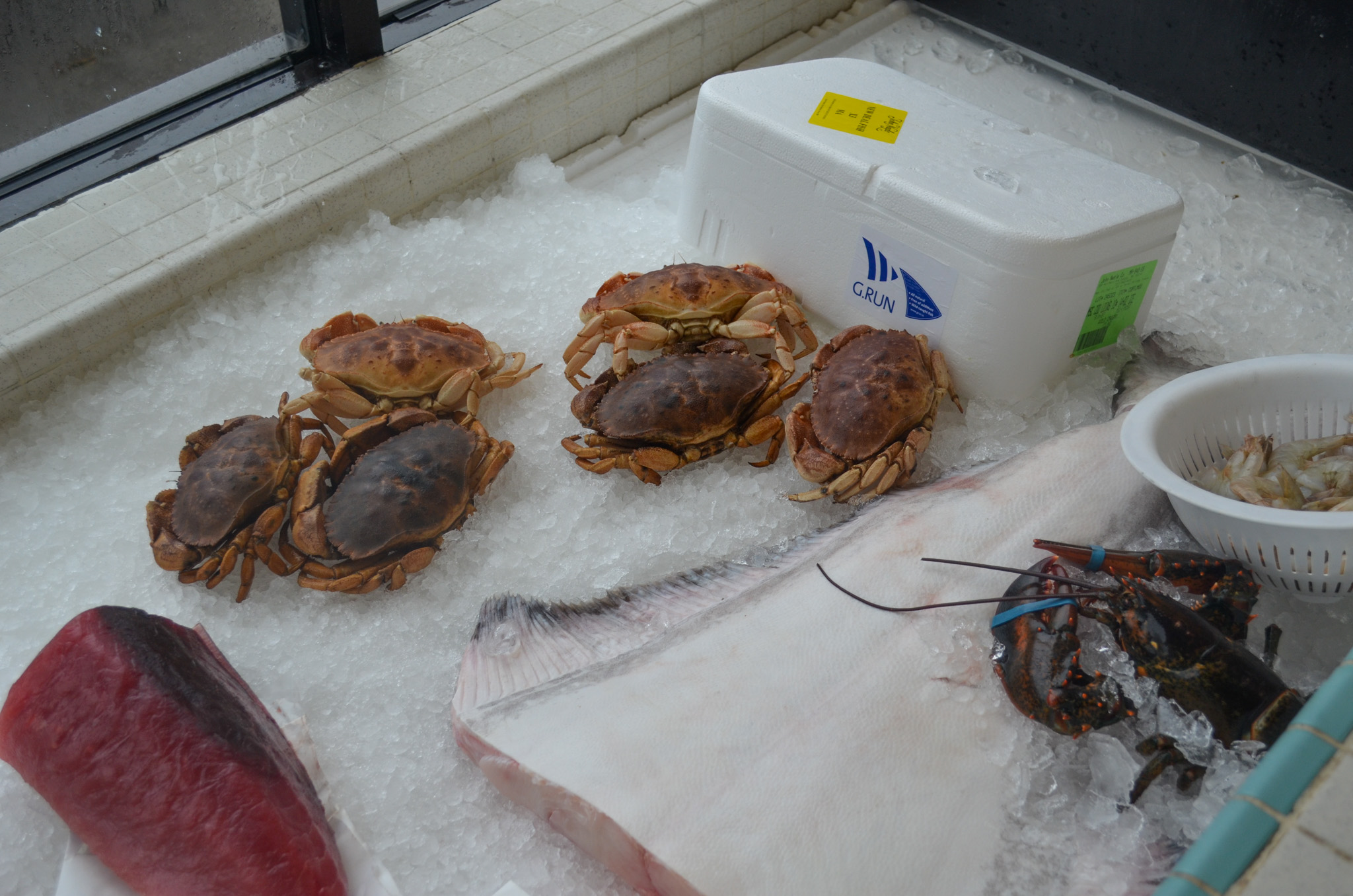 Crabs in container