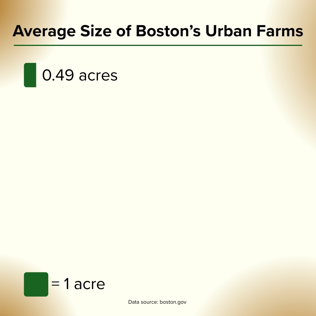 Urban Farm size in Boston