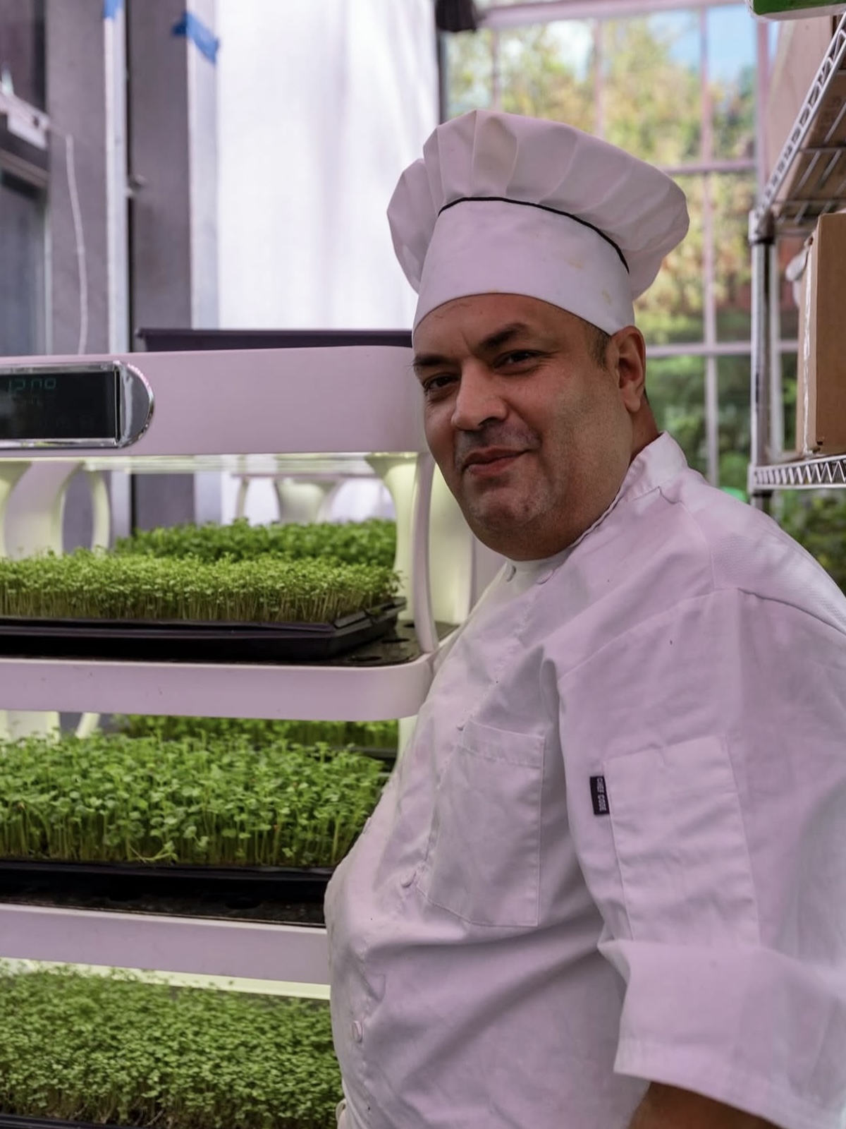 Chef Carlos Asseph in the greenhouse next to a bed of microgreens, in a white chef's hat and jacket.